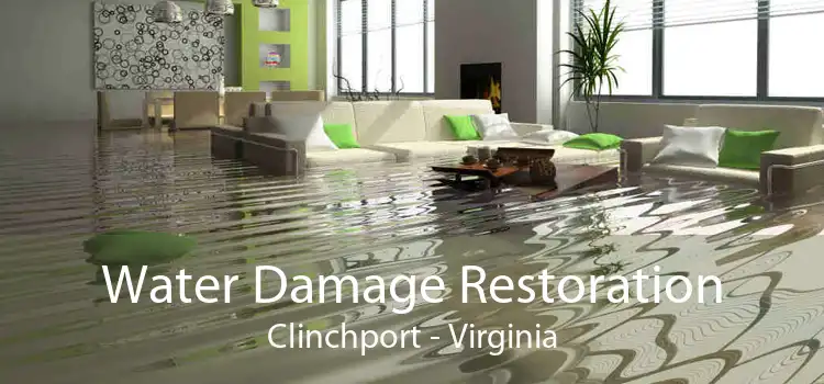 Water Damage Restoration Clinchport - Virginia