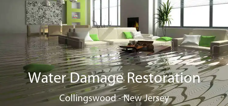 Water Damage Restoration Collingswood - New Jersey