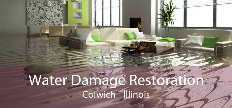 Water Damage Restoration Colwich - Illinois