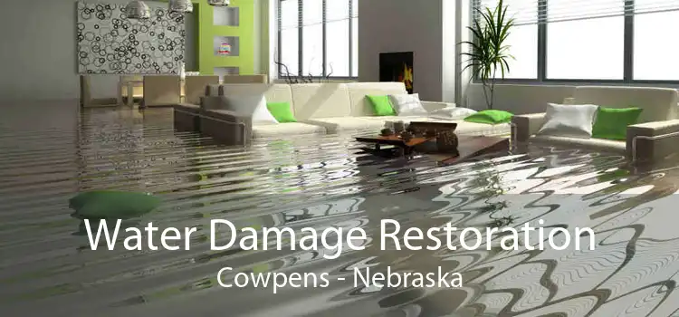 Water Damage Restoration Cowpens - Nebraska
