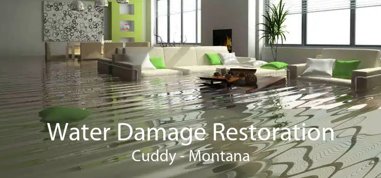 Water Damage Restoration Cuddy - Montana