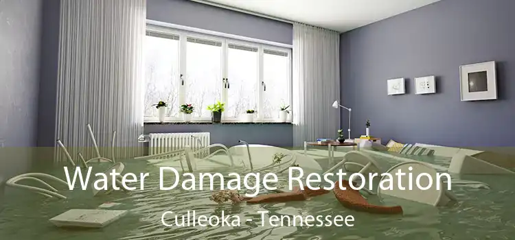 Water Damage Restoration Culleoka - Tennessee