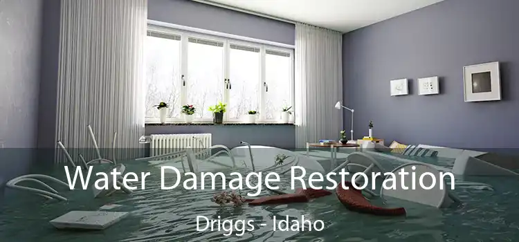 Water Damage Restoration Driggs - Idaho