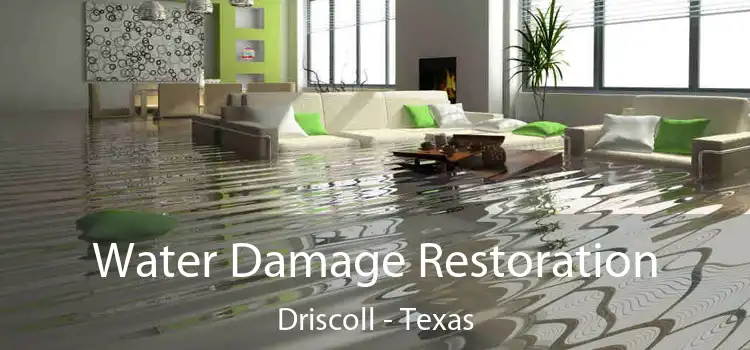 Water Damage Restoration Driscoll - Texas