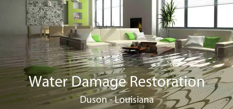 Water Damage Restoration Duson - Louisiana