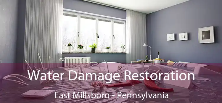 Water Damage Restoration East Millsboro - Pennsylvania