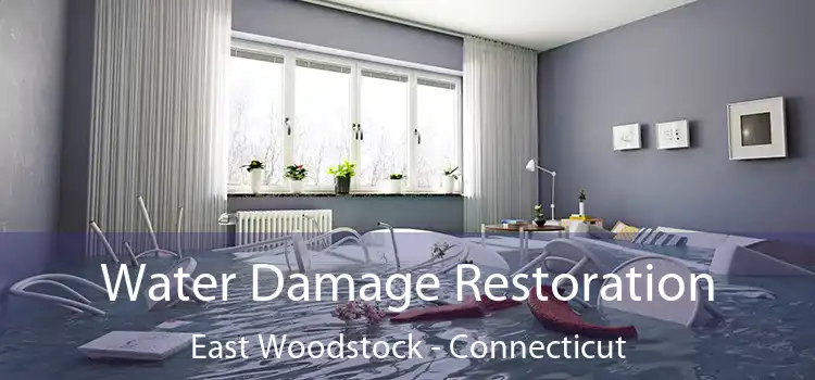 Water Damage Restoration East Woodstock - Connecticut