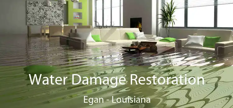 Water Damage Restoration Egan - Louisiana