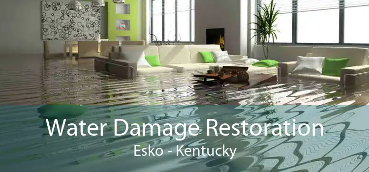 Water Damage Restoration Esko - Kentucky