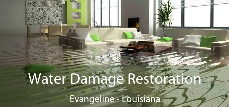 Water Damage Restoration Evangeline - Louisiana