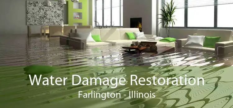 Water Damage Restoration Farlington - Illinois
