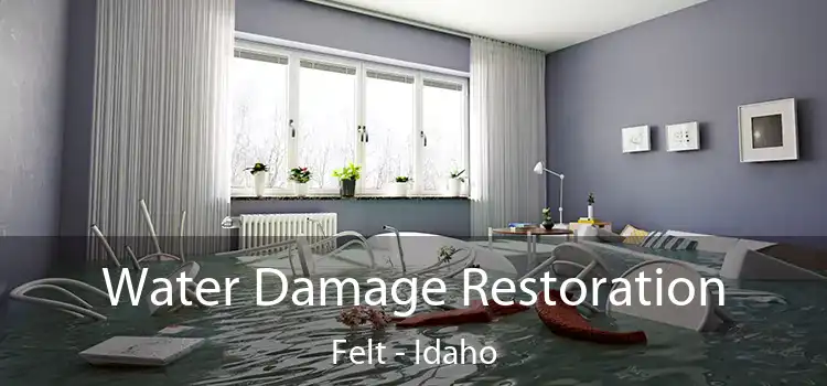 Water Damage Restoration Felt - Idaho