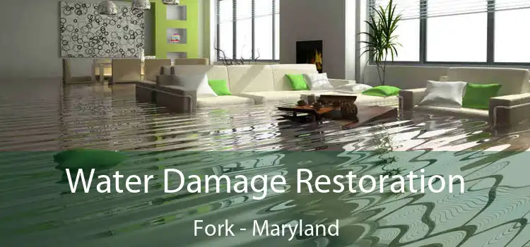 Water Damage Restoration Fork - Maryland