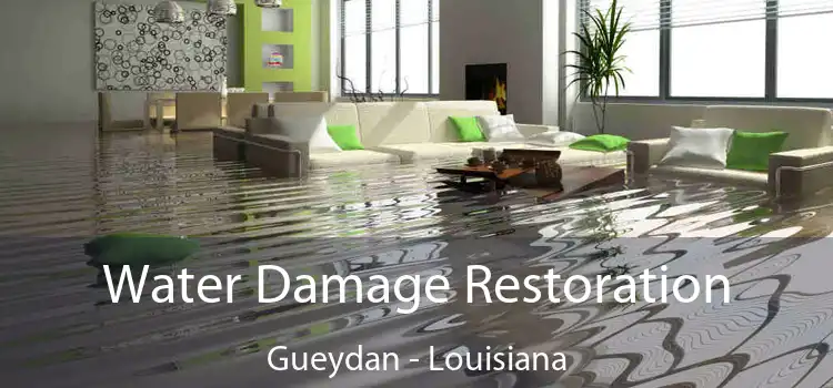 Water Damage Restoration Gueydan - Louisiana