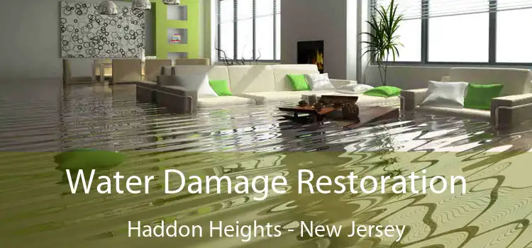 Water Damage Restoration Haddon Heights - New Jersey