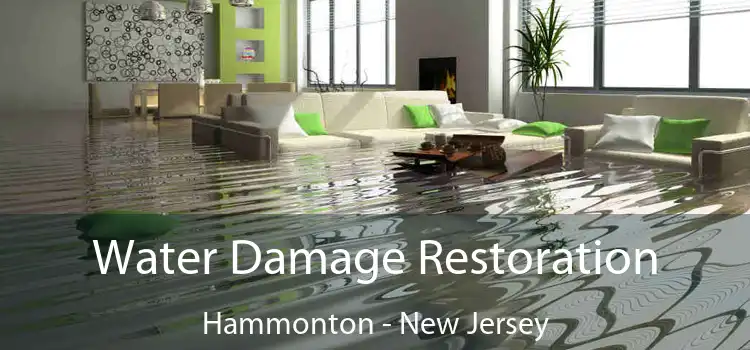 Water Damage Restoration Hammonton - New Jersey