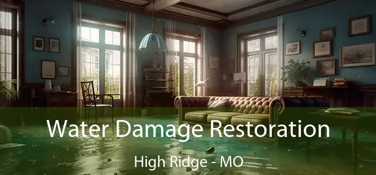 Water Damage Restoration High Ridge - MO