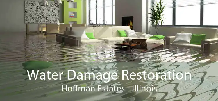 Water Damage Restoration Hoffman Estates - Illinois