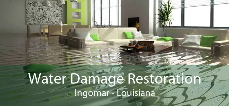Water Damage Restoration Ingomar - Louisiana