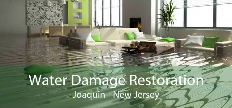 Water Damage Restoration Joaquin - New Jersey