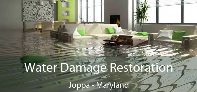 Water Damage Restoration Joppa - Maryland