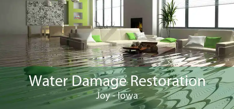 Water Damage Restoration Joy - Iowa