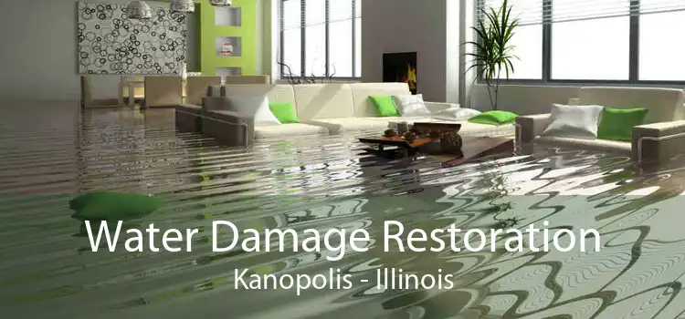 Water Damage Restoration Kanopolis - Illinois