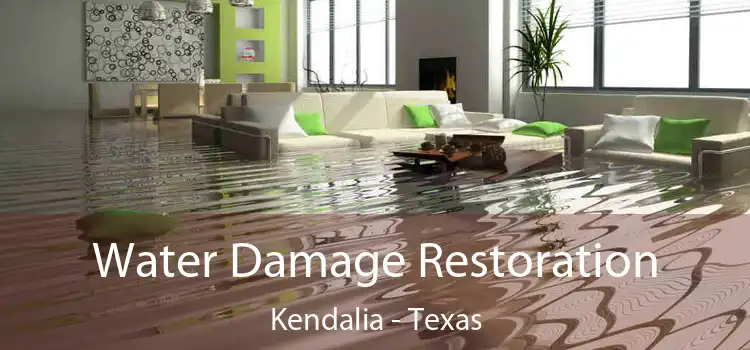 Water Damage Restoration Kendalia - Texas