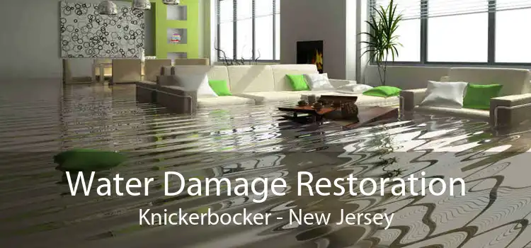 Water Damage Restoration Knickerbocker - New Jersey