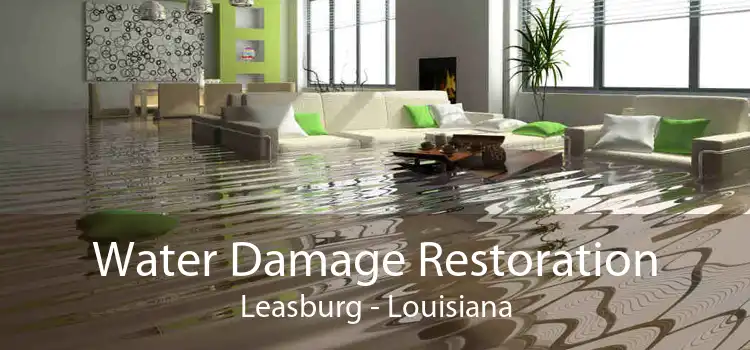 Water Damage Restoration Leasburg - Louisiana