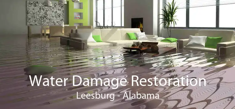 Water Damage Restoration Leesburg - Alabama