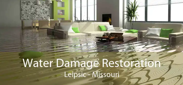 Water Damage Restoration Leipsic - Missouri