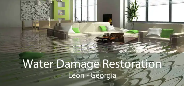 Water Damage Restoration Leon - Georgia