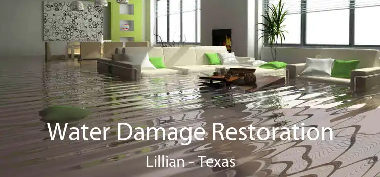 Water Damage Restoration Lillian - Texas