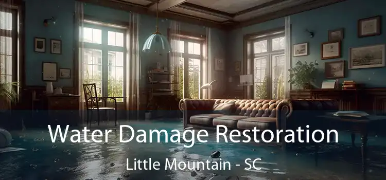 Water Damage Restoration Little Mountain - SC