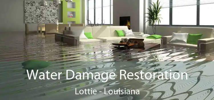 Water Damage Restoration Lottie - Louisiana