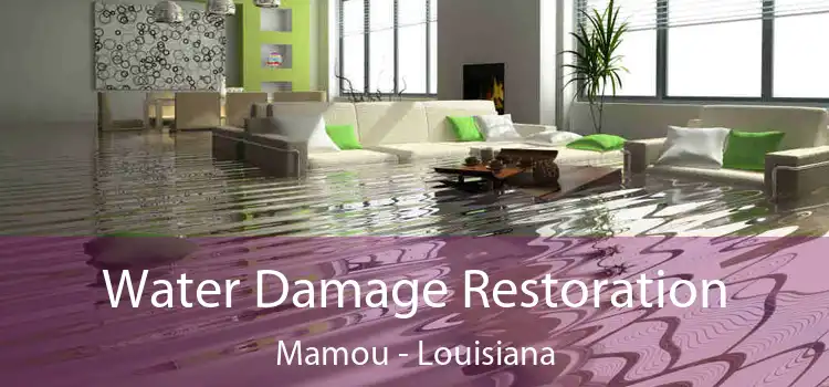 Water Damage Restoration Mamou - Louisiana