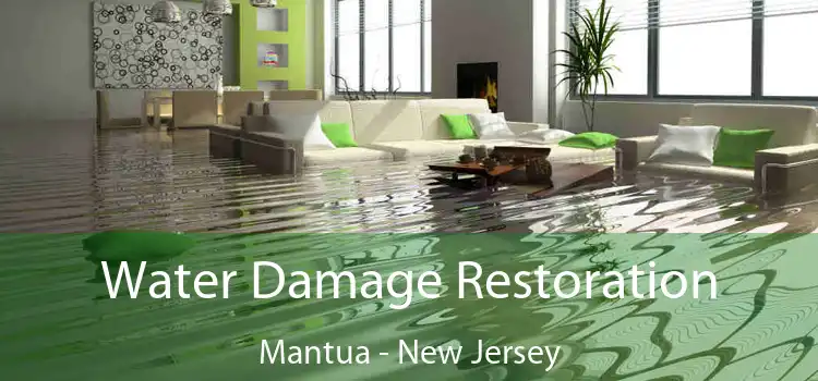 Water Damage Restoration Mantua - New Jersey