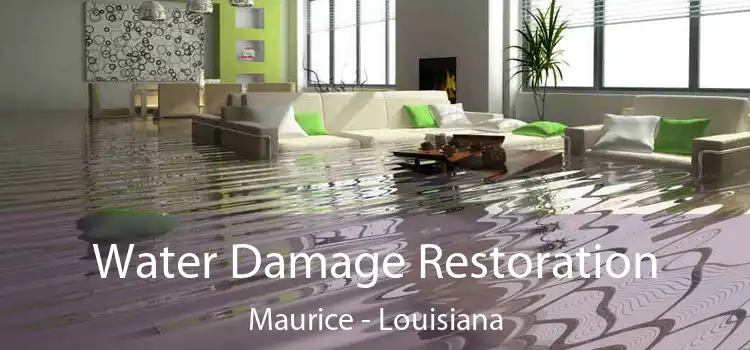 Water Damage Restoration Maurice - Louisiana