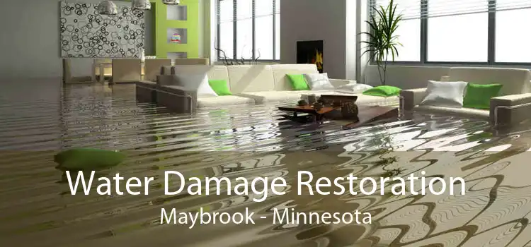 Water Damage Restoration Maybrook - Minnesota