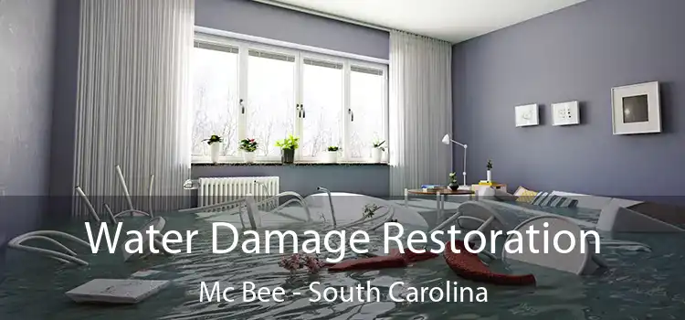 Water Damage Restoration Mc Bee - South Carolina