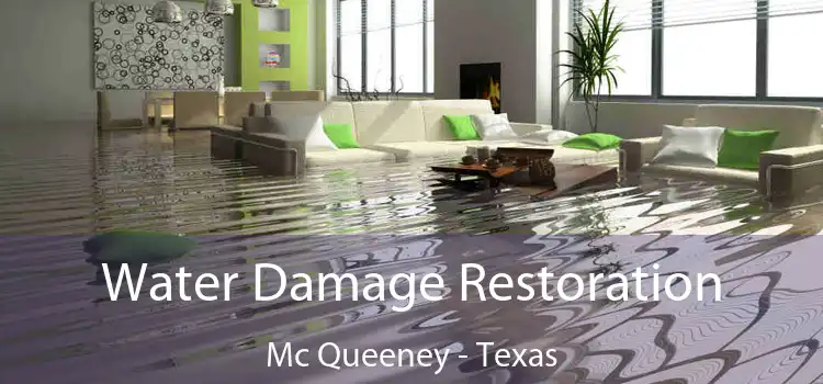 Water Damage Restoration Mc Queeney - Texas