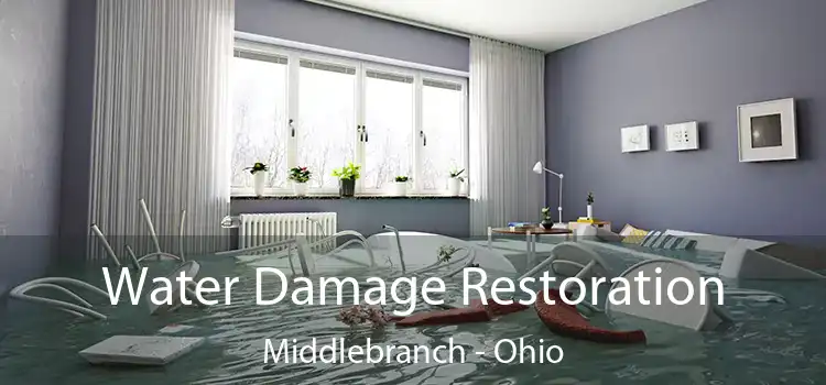 Water Damage Restoration Middlebranch - Ohio