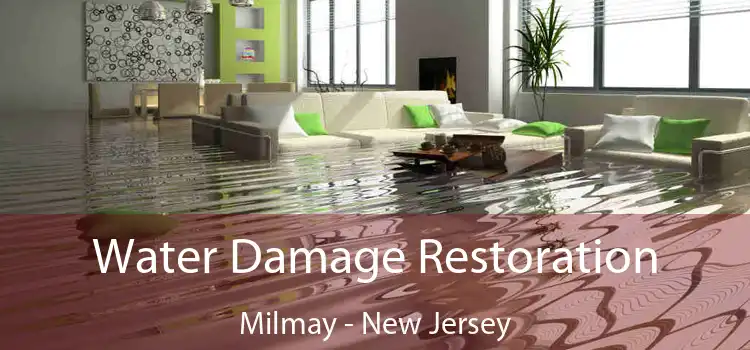 Water Damage Restoration Milmay - New Jersey