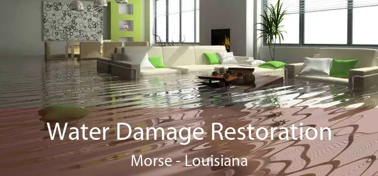 Water Damage Restoration Morse - Louisiana