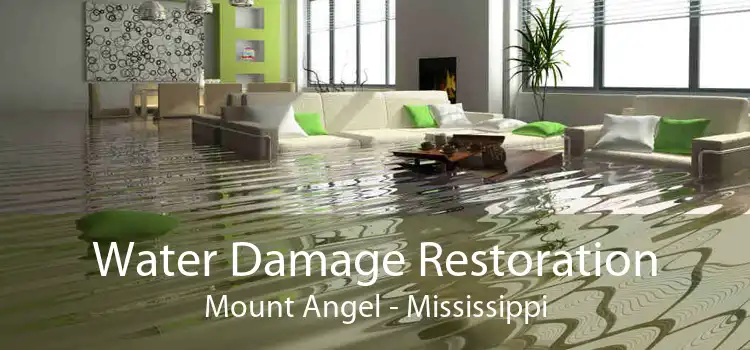 Water Damage Restoration Mount Angel - Mississippi
