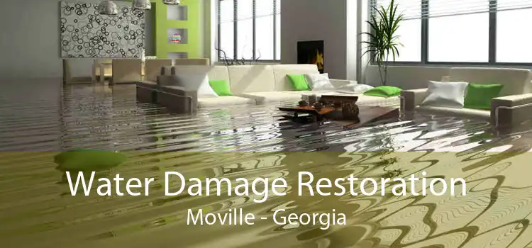 Water Damage Restoration Moville - Georgia