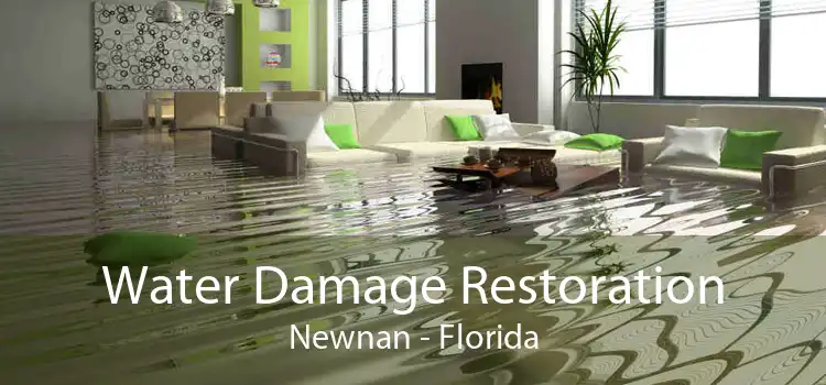 Water Damage Restoration Newnan - Florida