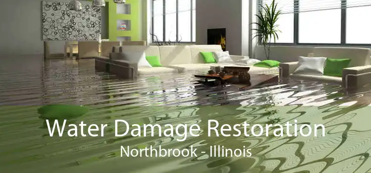 Water Damage Restoration Northbrook - Illinois