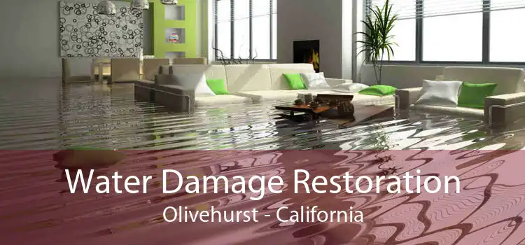 Water Damage Restoration Olivehurst - California